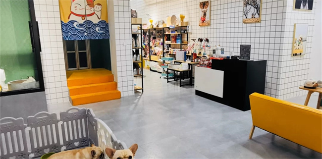 120平簡約風(fēng)寵物店裝修設(shè)計(jì)
